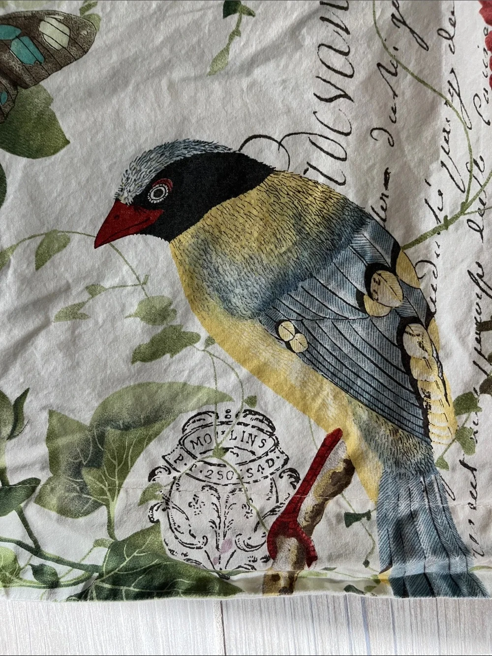 PotteryBarn vintage inspired floral bird garden oversize euro pillow sham cotton